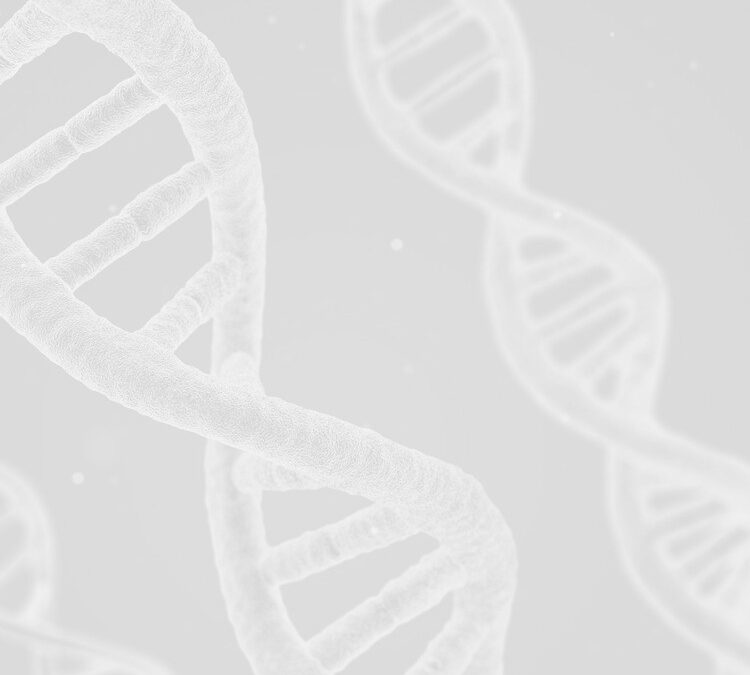 The Medical Cooperative Solution